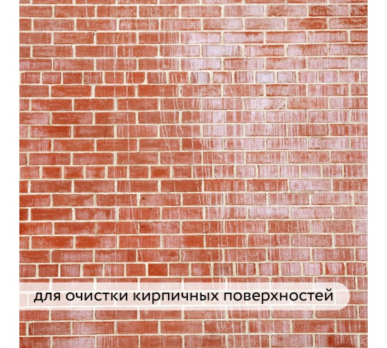 Смывка высолов Elcon SV 5л 00-00002949; 11607971