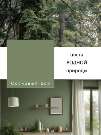 Краска интерьерная шелковисто-матовая №824 сосновый бор 3,3кг PALIZH РС-824-3,3; 11613962
