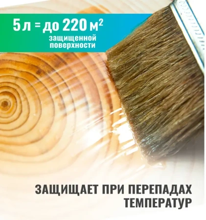Антисептик для бань и саун 5л  PROSEPT SAUNA 004-5; 11614558