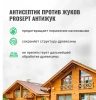 Антисептик от жуков и биопоражении АНТИЖУК готовый состав 10л  PROSEPT  024-10; 11614559