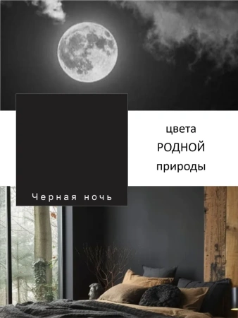 Краска интерьерная шелковисто-матовая №827 черная ночь 0,2кг PALIZH РС-827-0,2; 11614056