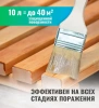 Антисептик от жуков и биопоражении АНТИЖУК готовый состав 10л  PROSEPT  024-10; 11614559