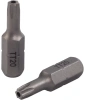 Биты магнитные 25мм CR-V TORX T20 2шт. VIRA 554143; УТ-00000224