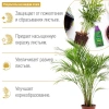 Жидкое удобрение для фикусов и пальм КРАСОТА 285мл  BONA FORTE; 11602217