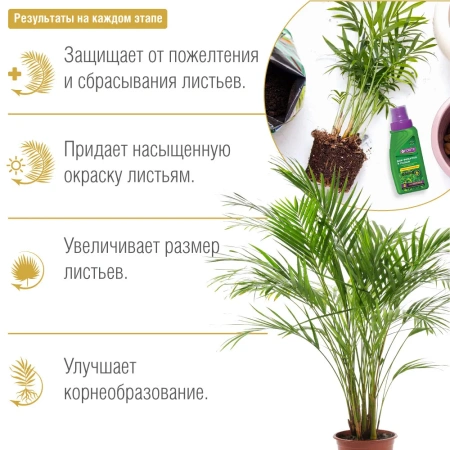 Жидкое удобрение для фикусов и пальм КРАСОТА 285мл  BONA FORTE; 11602217