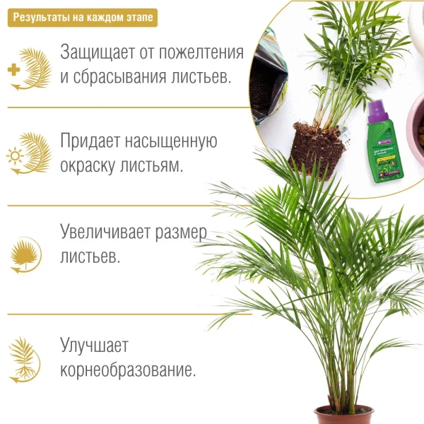 Жидкое удобрение для фикусов и пальм ЗДОРОВЬЕ 285мл BONA FORTE; 11605547